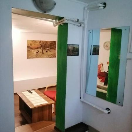 Moss'S Cave Apartment Timisoara Exterior photo