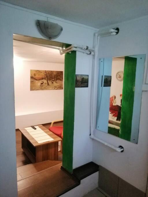 Moss'S Cave Apartment Timisoara Exterior photo
